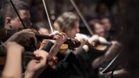orchestr housle